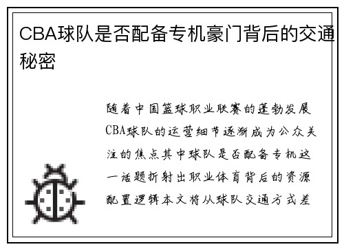 CBA球队是否配备专机豪门背后的交通秘密